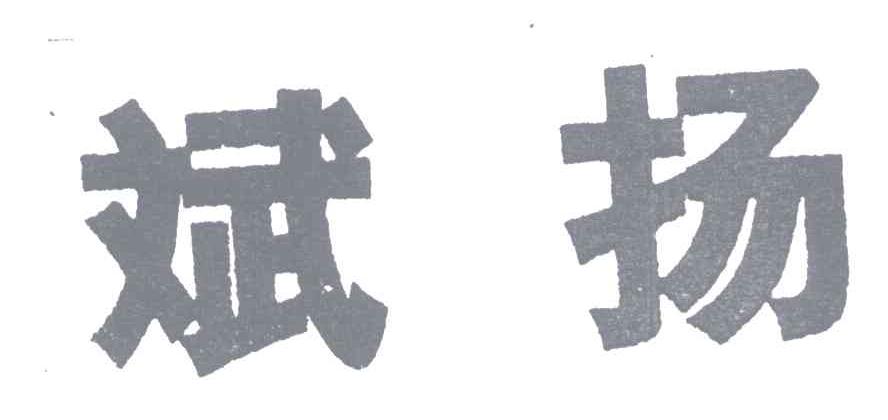 斌扬