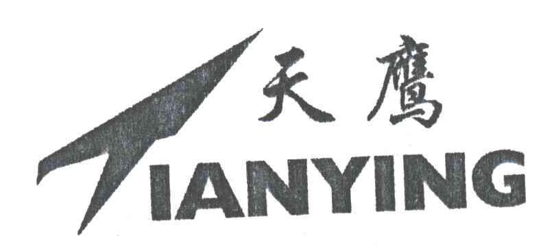 天鹰