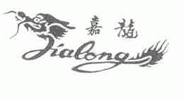 嘉龙