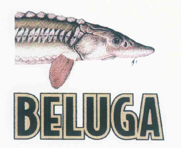 BELUGA