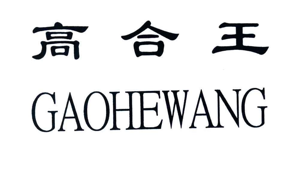 高合王