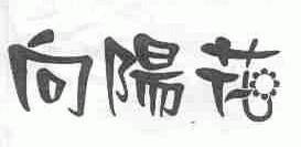 向阳花