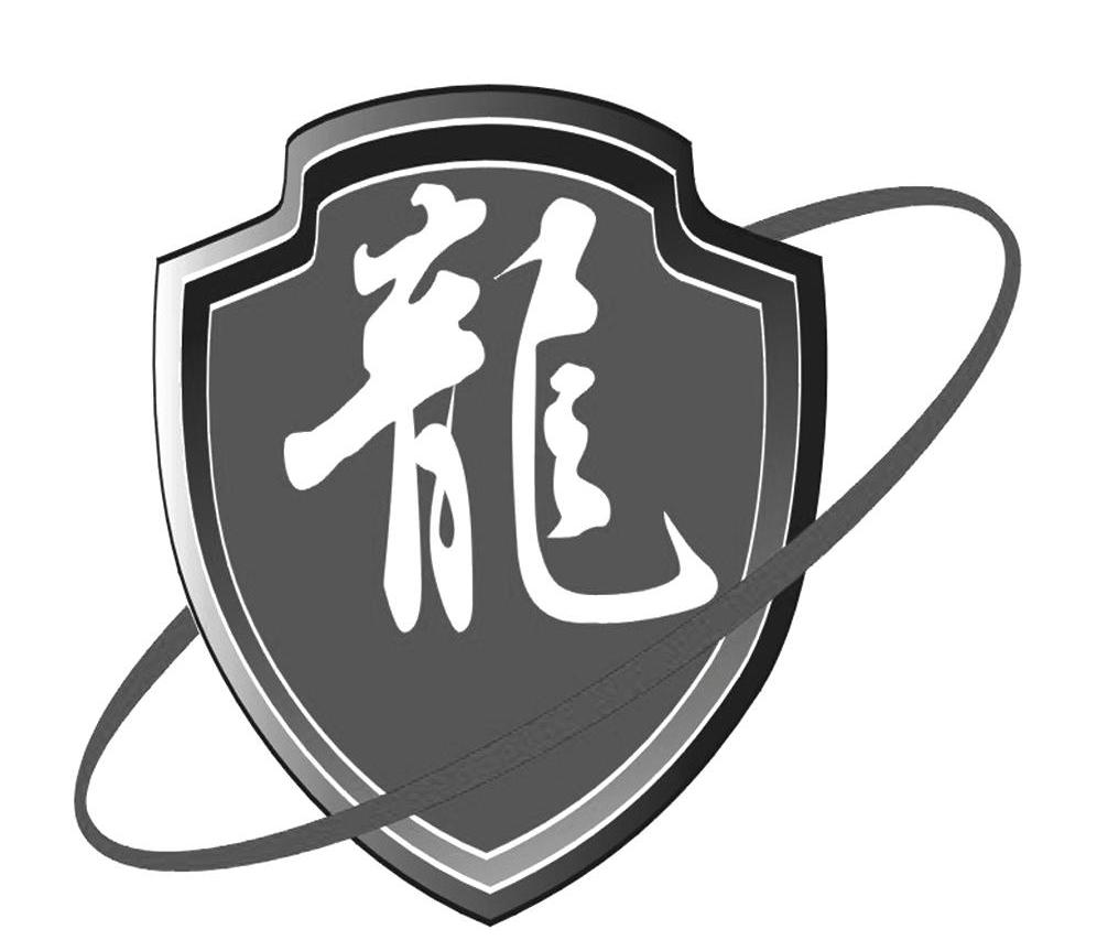 龙