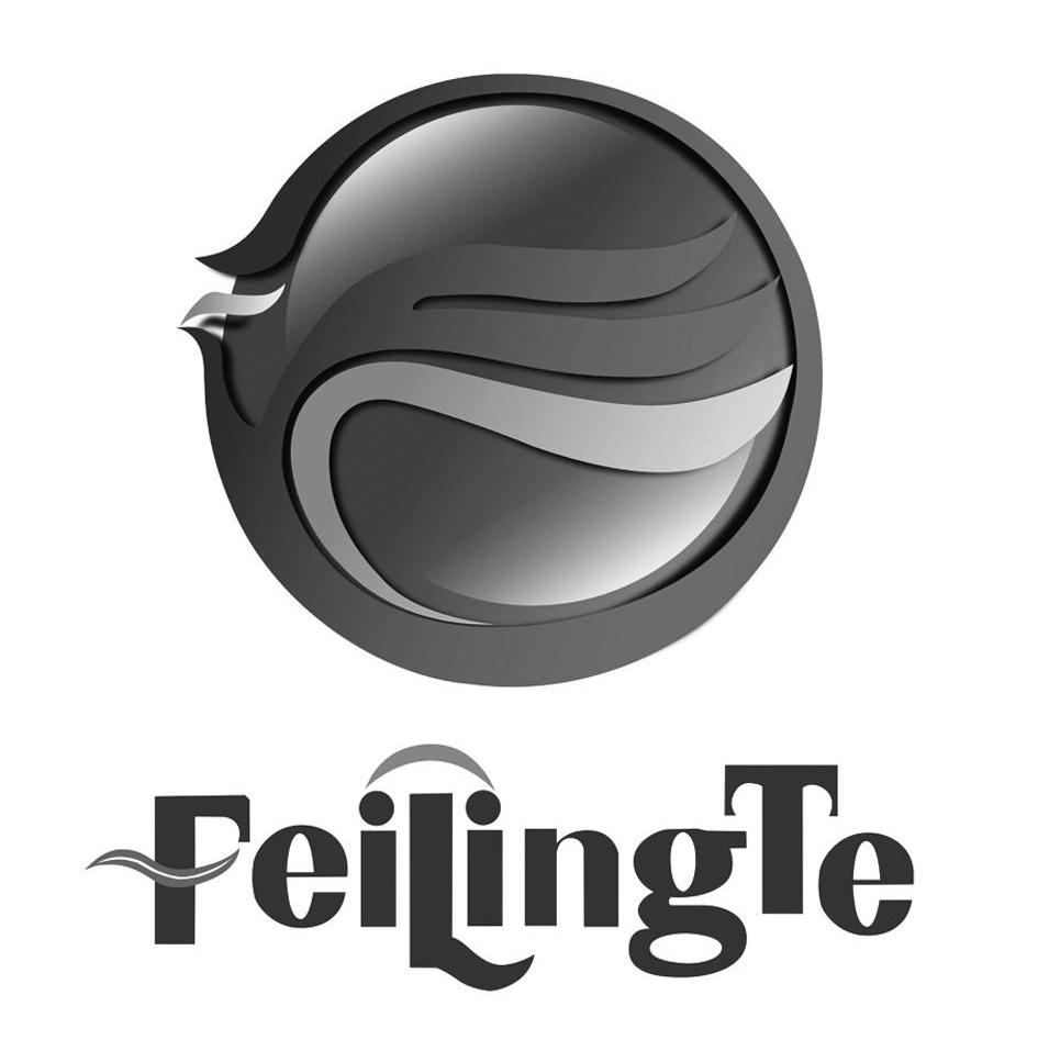 FEILINGTE