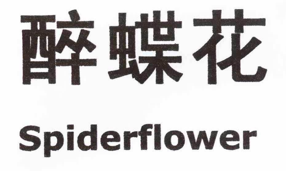 醉蝶花 SPIDERFLOWER