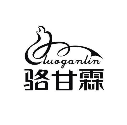 骆甘霖