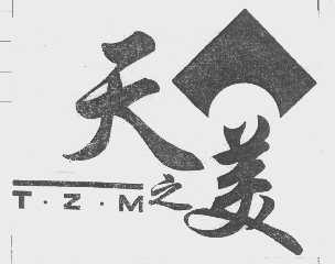 天之美   T.Z.M