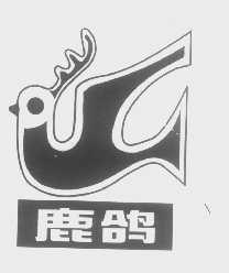鹿鸽