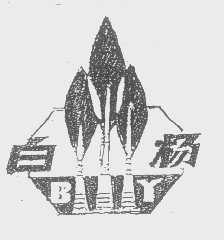 白杨