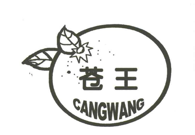 苍王