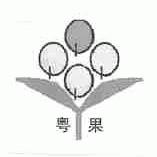 粤果