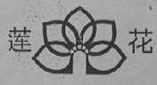 莲花