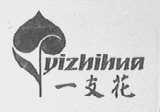 一支花