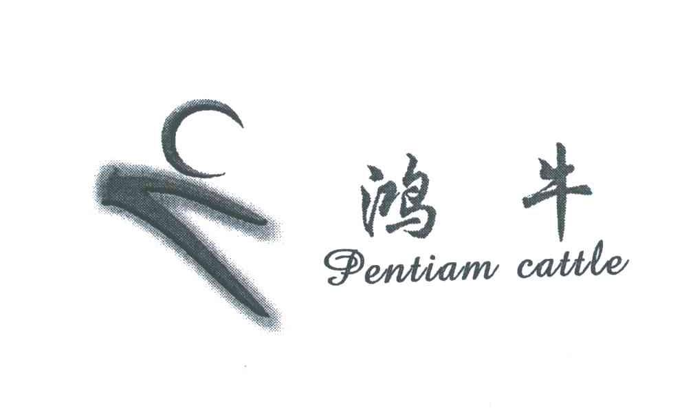 鸿牛;PENTIAM CATTLE