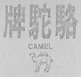 CAMEL    骆驼