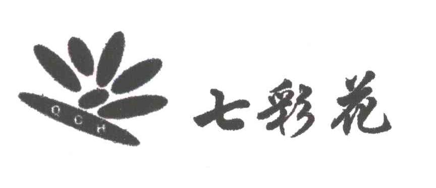 七彩花及图