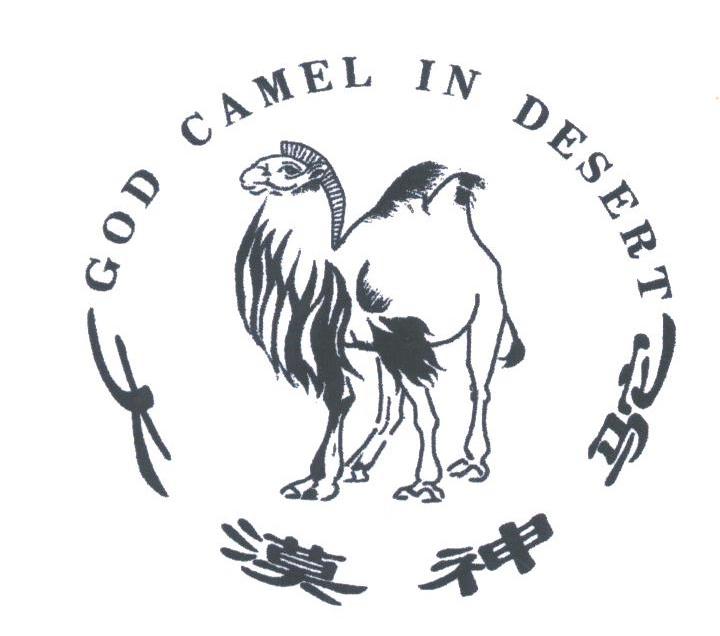大漠神驼;GOD CAMEL IN DESERT