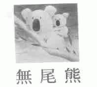 无尾熊