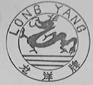 龙洋