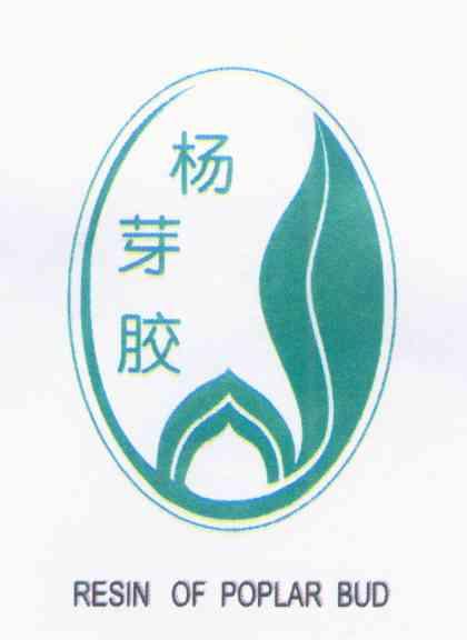 杨芽胶 RESIN OF POPLAR BUD