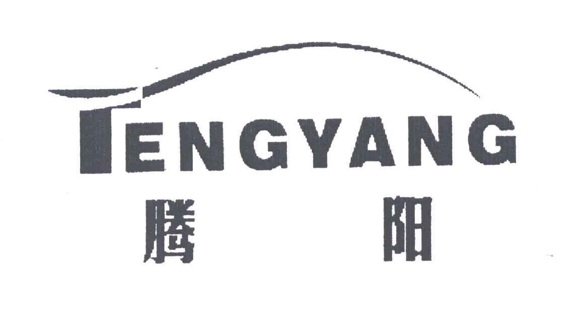 腾阳;TENG YANG