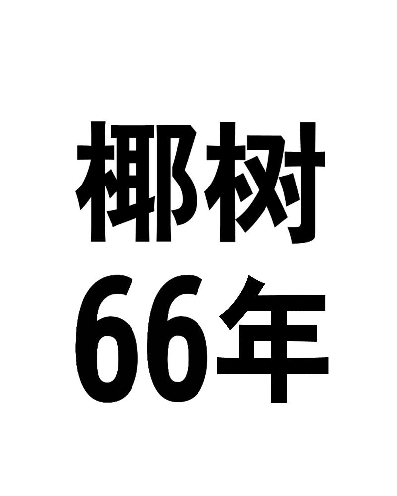 椰树66年