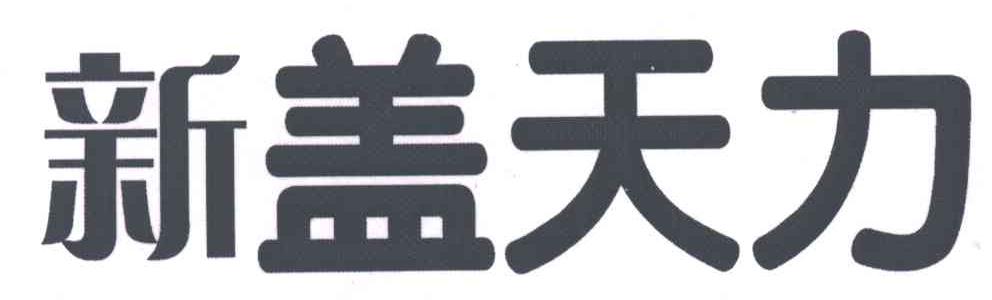 新盖天力