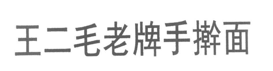 王二毛老牌手擀面
