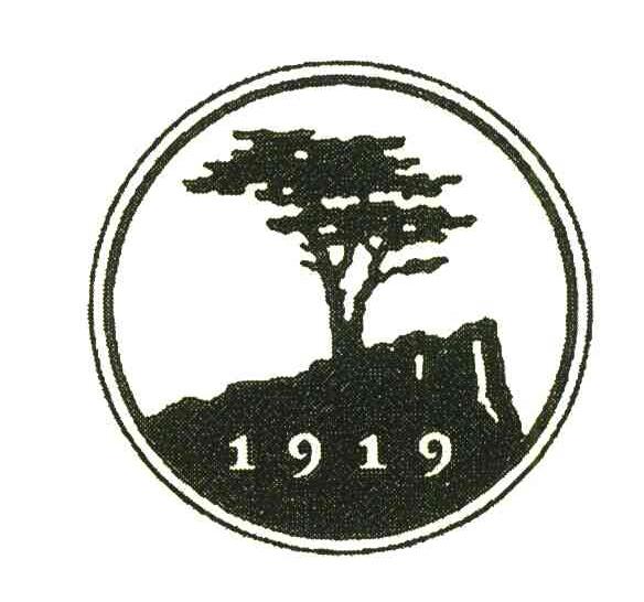 1919