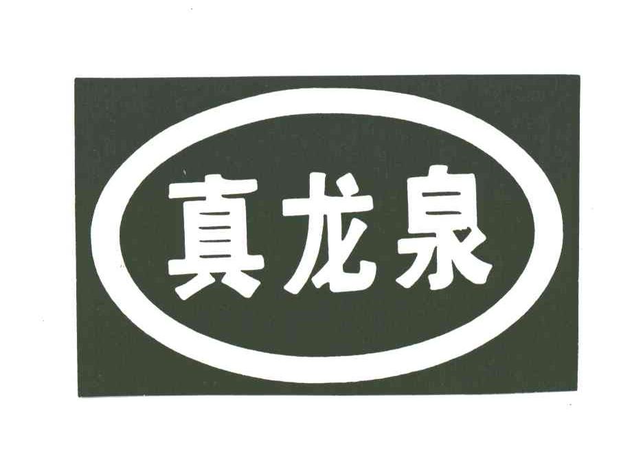 真龙泉