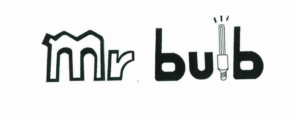 MR BULB