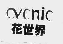 花世界   VCNIC