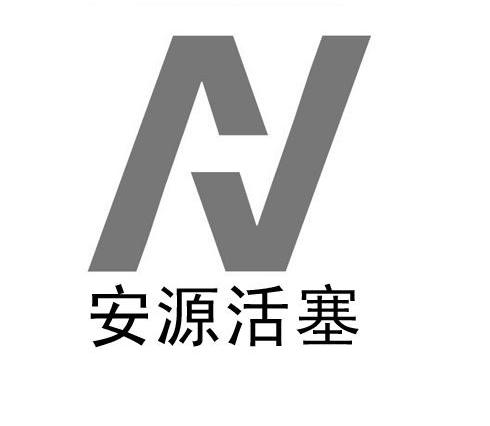 安源活塞