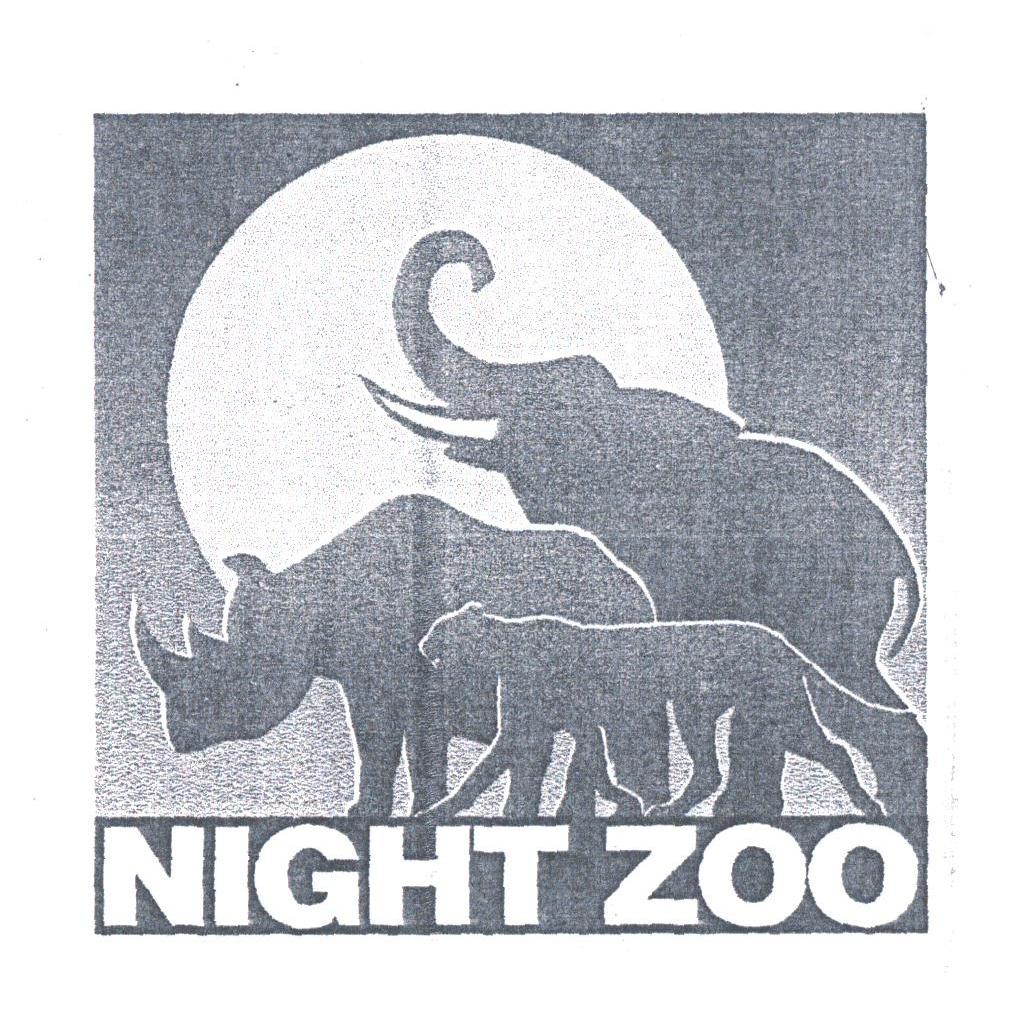 NIGHT ZOO