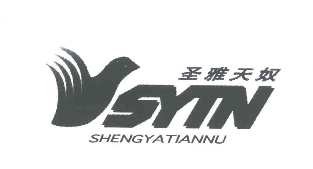 圣雅天奴