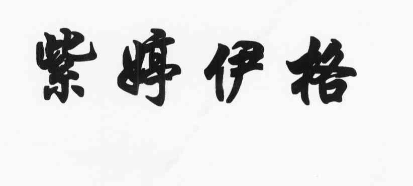 紫婷伊格