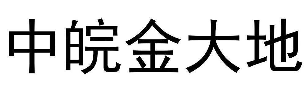 中皖金大地