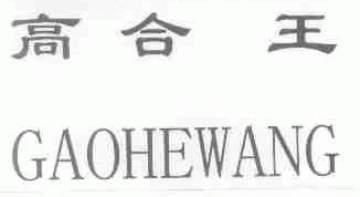 高合王