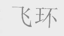 飞环