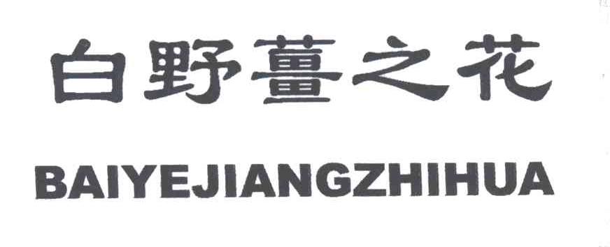 白野姜之花