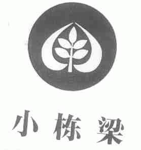 小栋梁