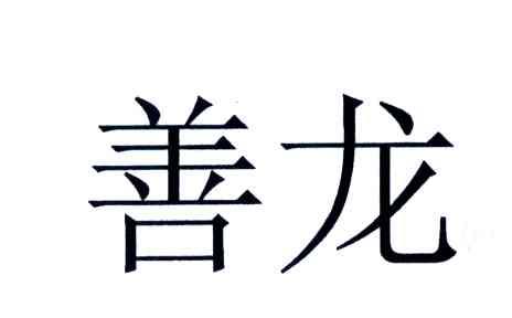 善龙