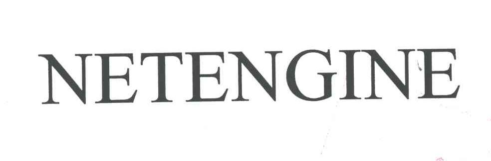 NETENGINE