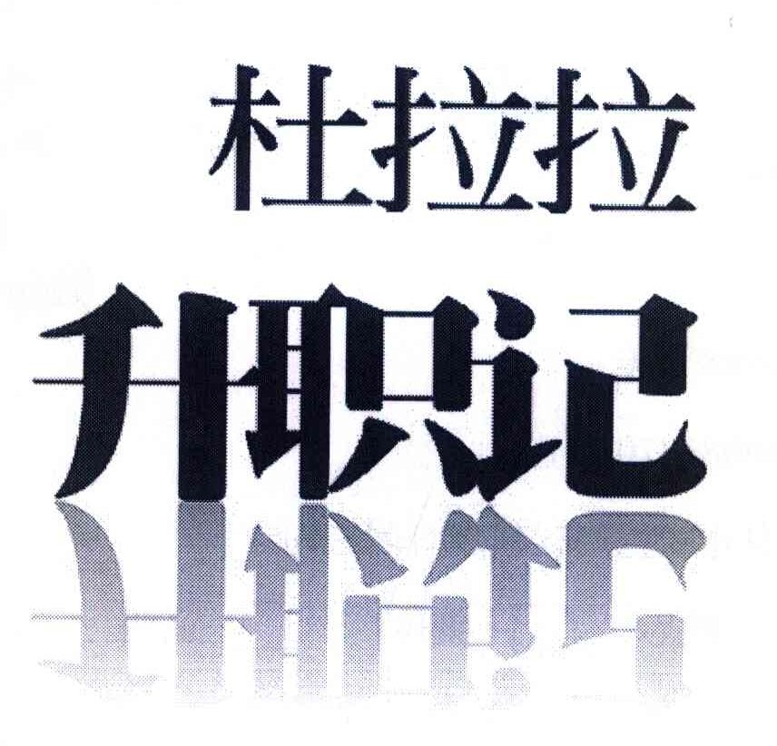 杜拉拉 升职记