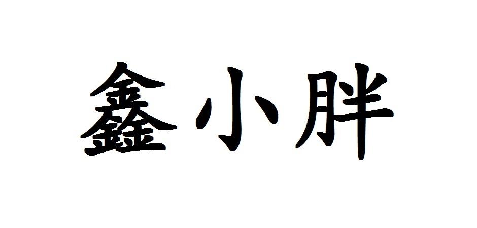 鑫小胖