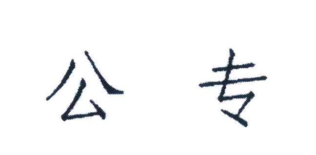 公专