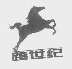 跨世纪