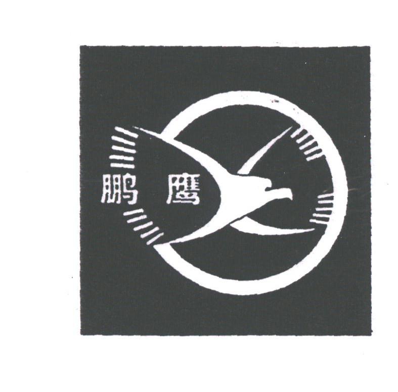 鹏鹰