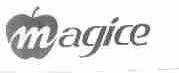 MAGICE