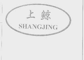 上鲸
